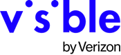 Visible Logo